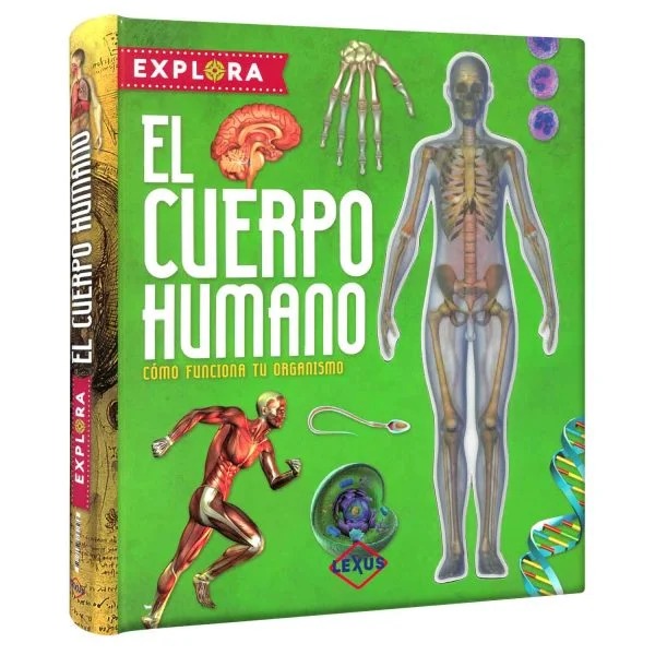 No disponible